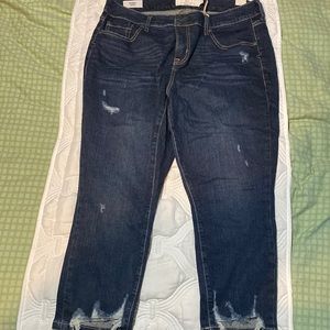 Torrid Skinny Jeans